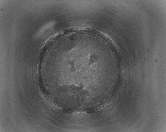 X0000084530543200703091630