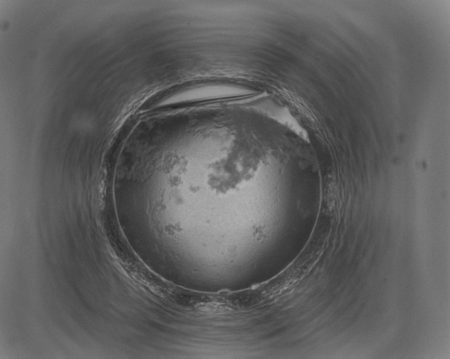 X0000084530544200703091630