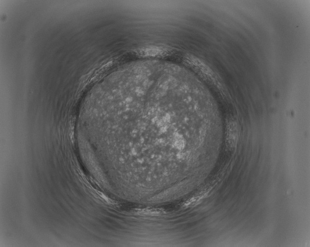 X0000084530545200703091630