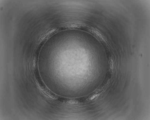 X0000084530546200703091630