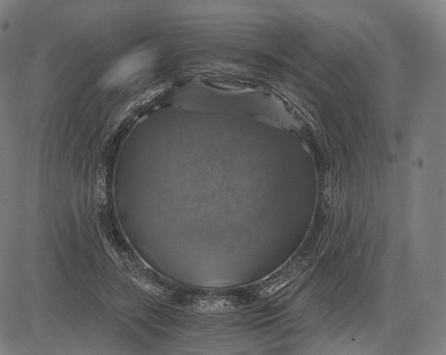 X0000084530547200703091630