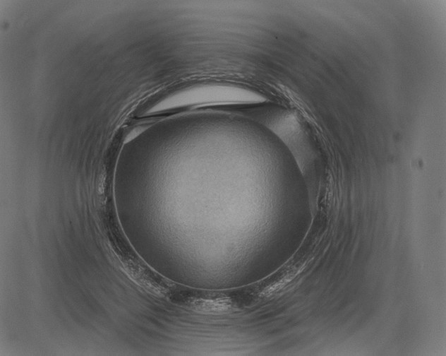 X0000084530548200703091630