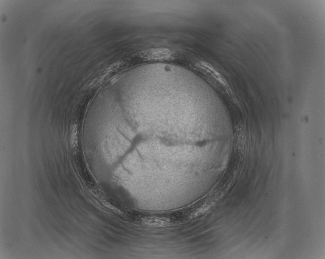 X0000084530549200703091630