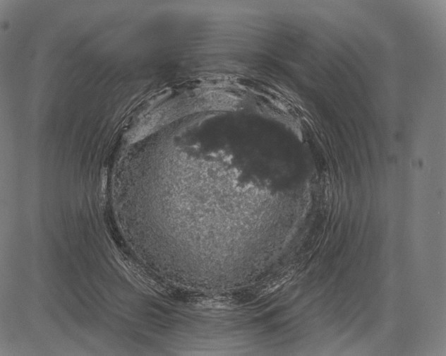 X0000084530550200703091631