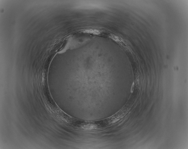 X0000084530551200703091631