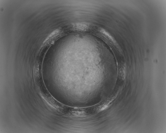 X0000084530552200703091631