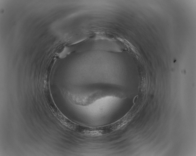 X0000084530553200703091631