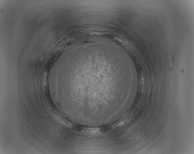 X0000084530554200703091631