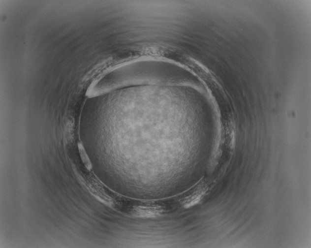 X0000084530556200703091631