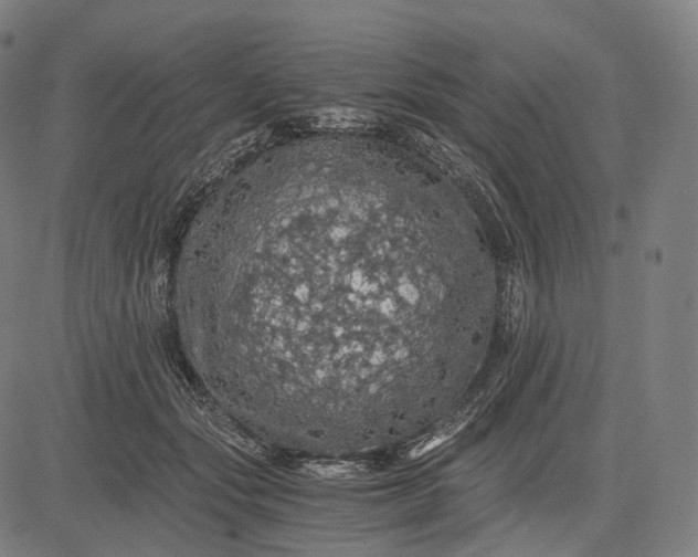 X0000084530557200703091631