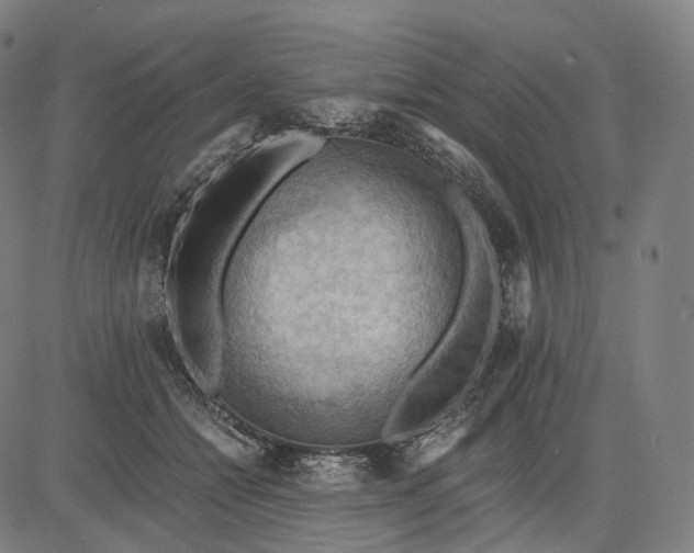 X0000084530558200703091631