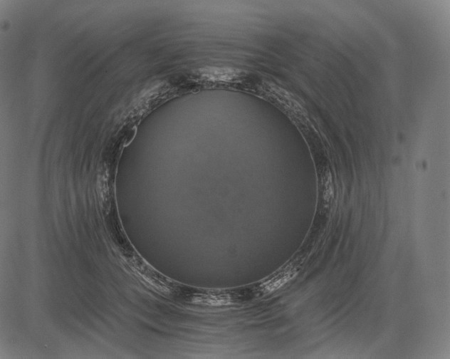 X0000084530559200703091631