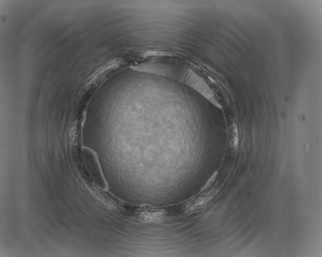 X0000084530560200703091631