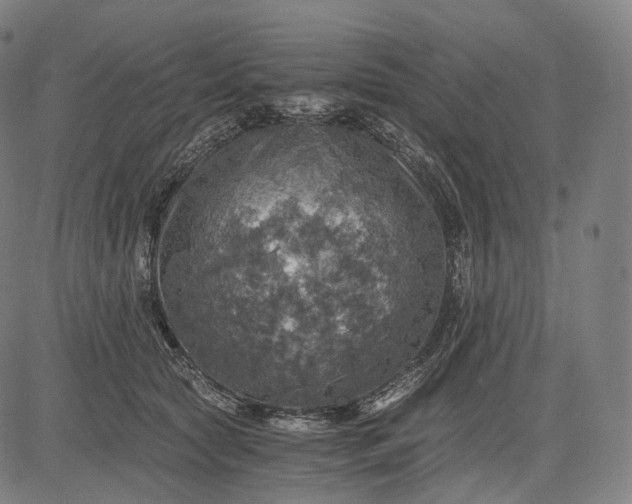 X0000084530561200703091631