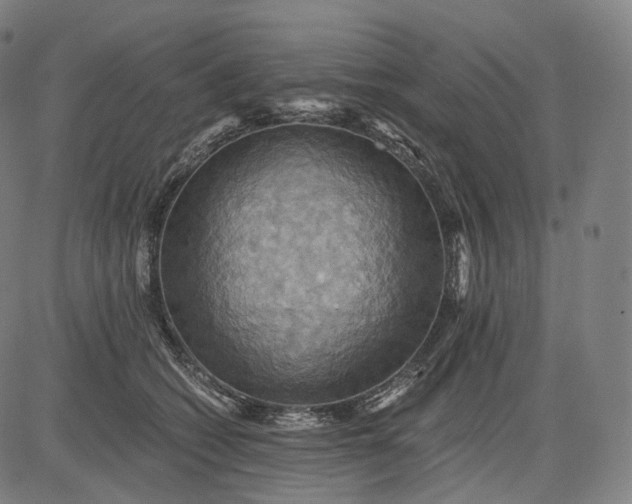 X0000084530562200703091631