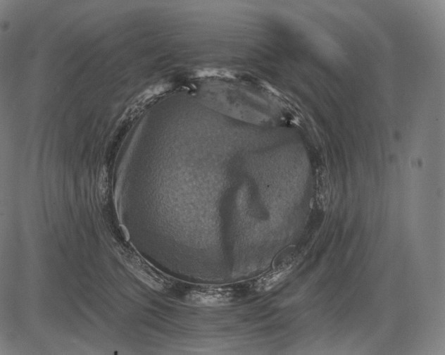 X0000084530563200703091631