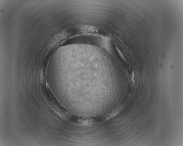 X0000084530564200703091631