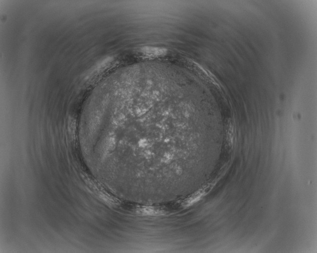 X0000084530565200703091631