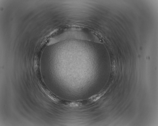 X0000084530566200703091631