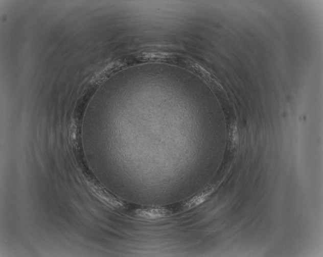 X0000084530567200703091631