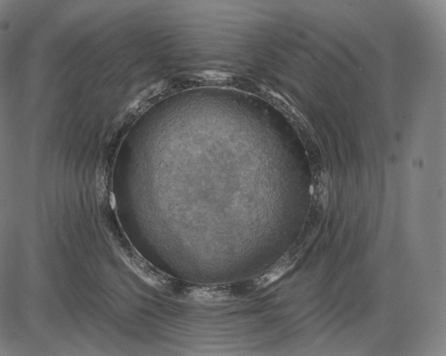 X0000084530568200703091631