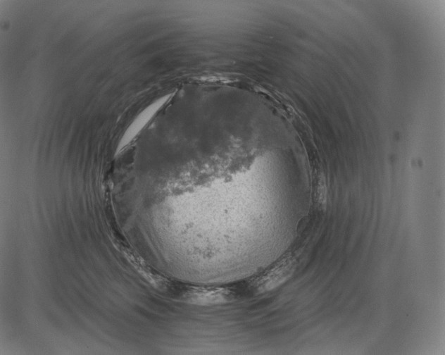 X0000084530569200703091631