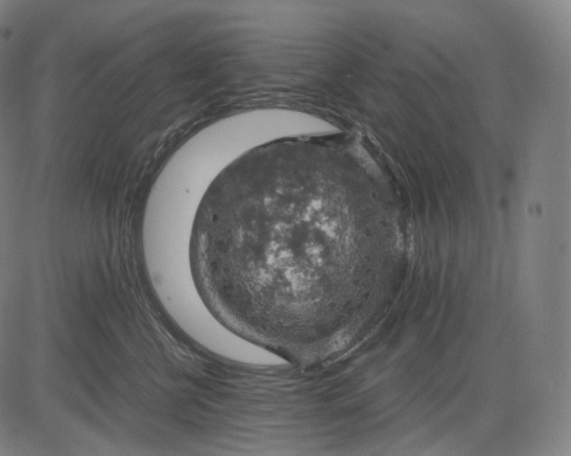 X0000084530570200703091631