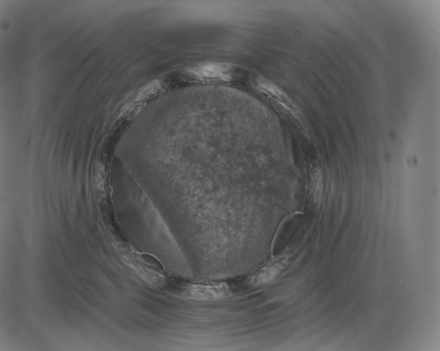 X0000084530571200703091631