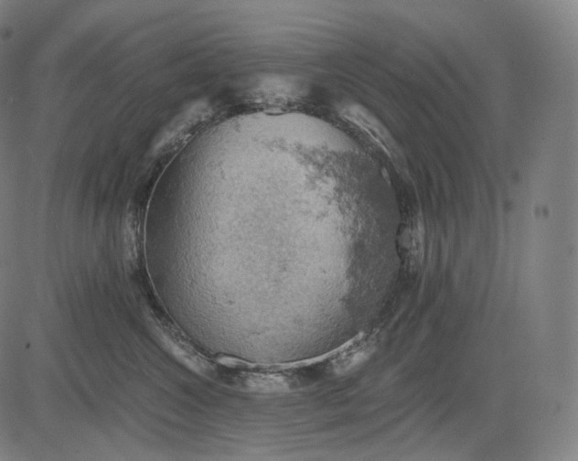 X0000084530572200703091631