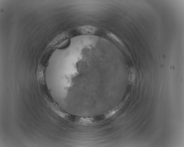 X0000084530573200703091631