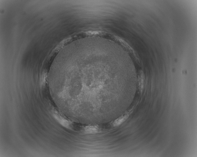 X0000084530574200703091631