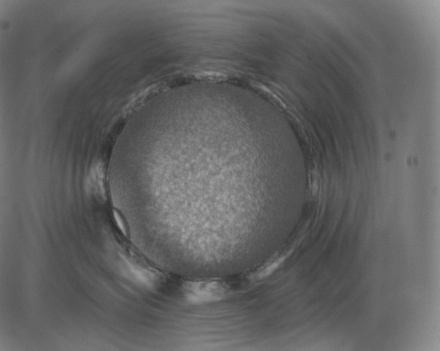 X0000084530575200703091631