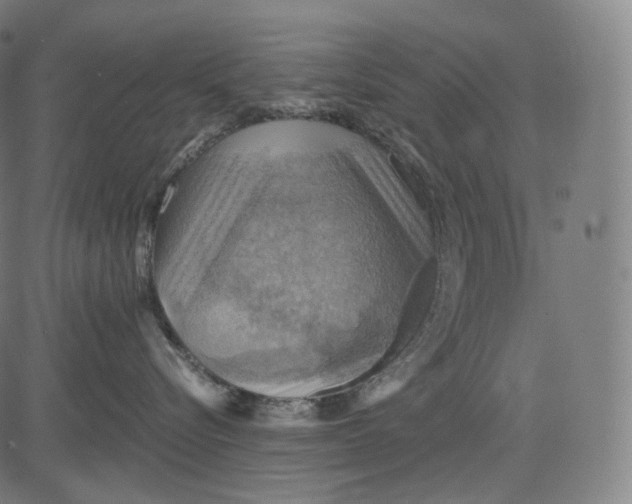 X0000084530576200703091631