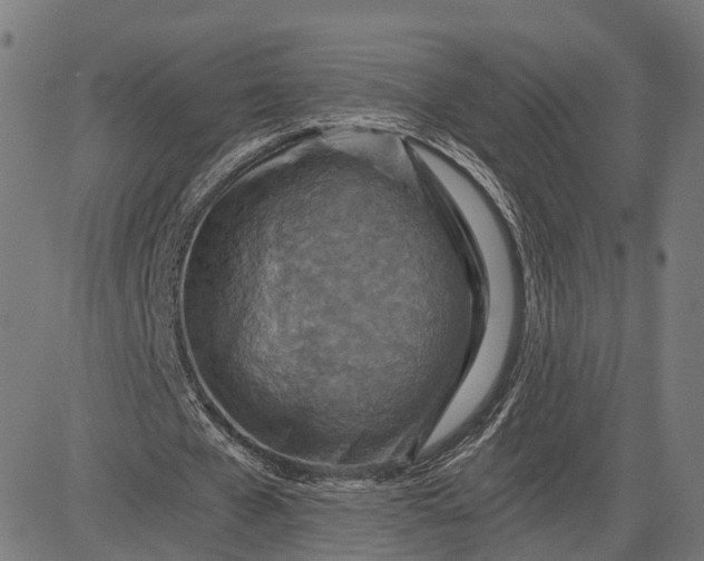 X0000084530577200703091630