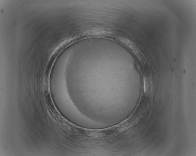 X0000084530579200703091630