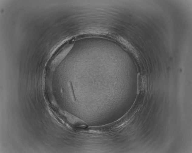 X0000084530580200703091630