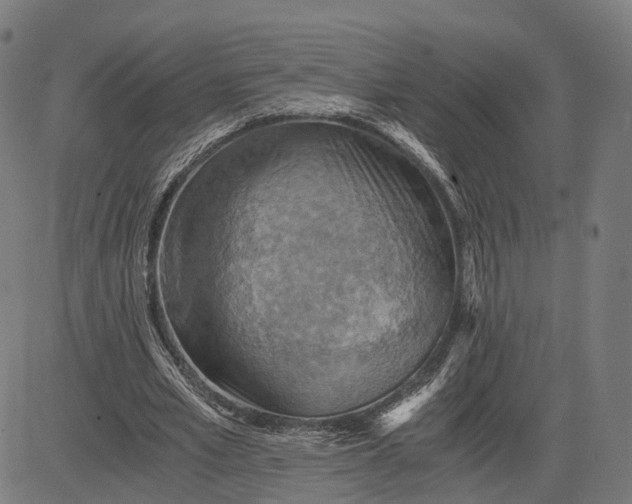 X0000084530581200703091630