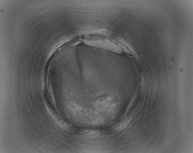 X0000084530582200703091630