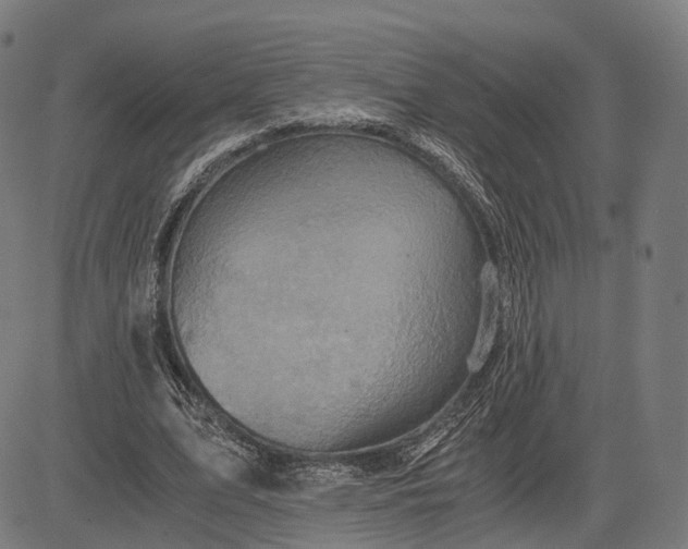 X0000084530583200703091630