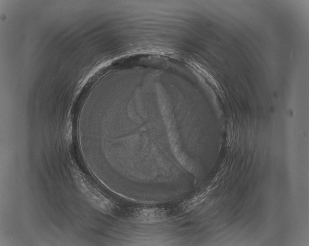 X0000084530584200703091630