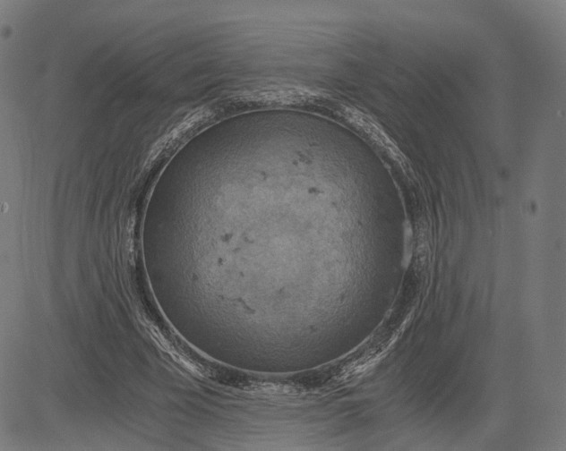 X0000084530585200703091630