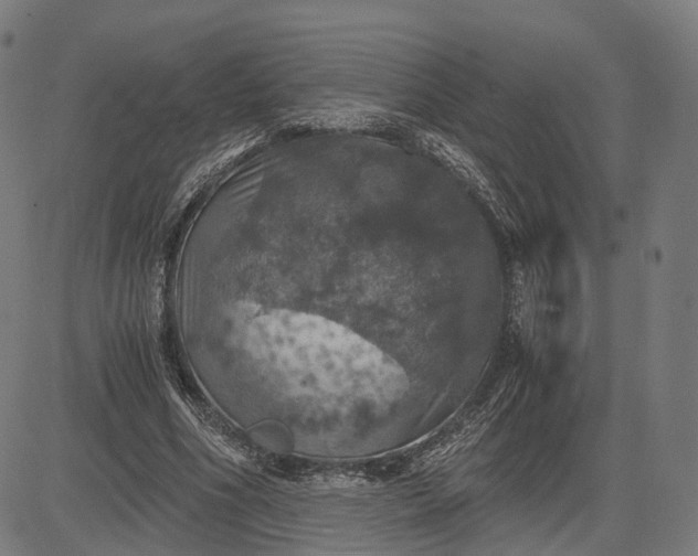 X0000084530586200703091630