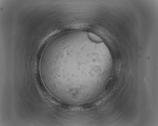 X0000084530587200703091630