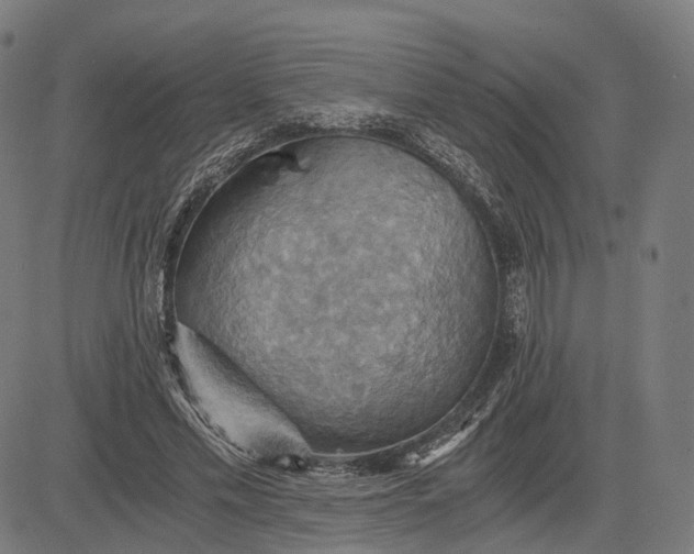 X0000084530589200703091630