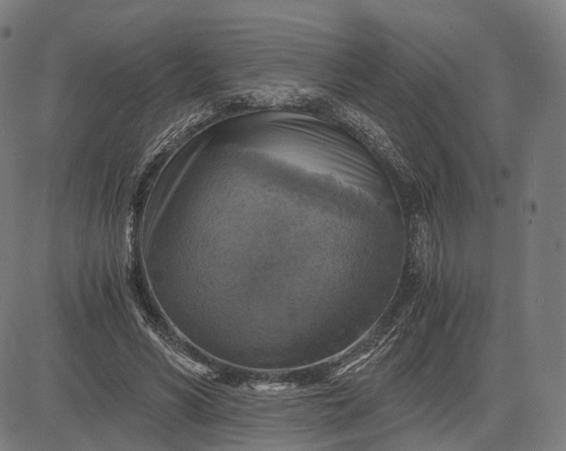 X0000084530590200703091630