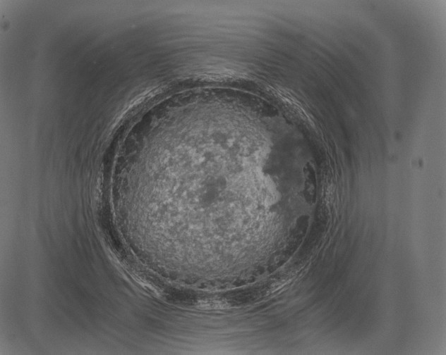 X0000084530591200703091630