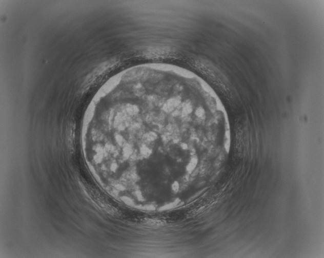 X0000084530592200703091630