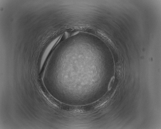 X0000084530593200703091630