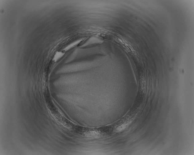 X0000084530594200703091630