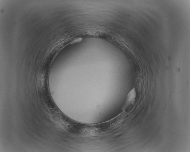 X0000084530595200703091630